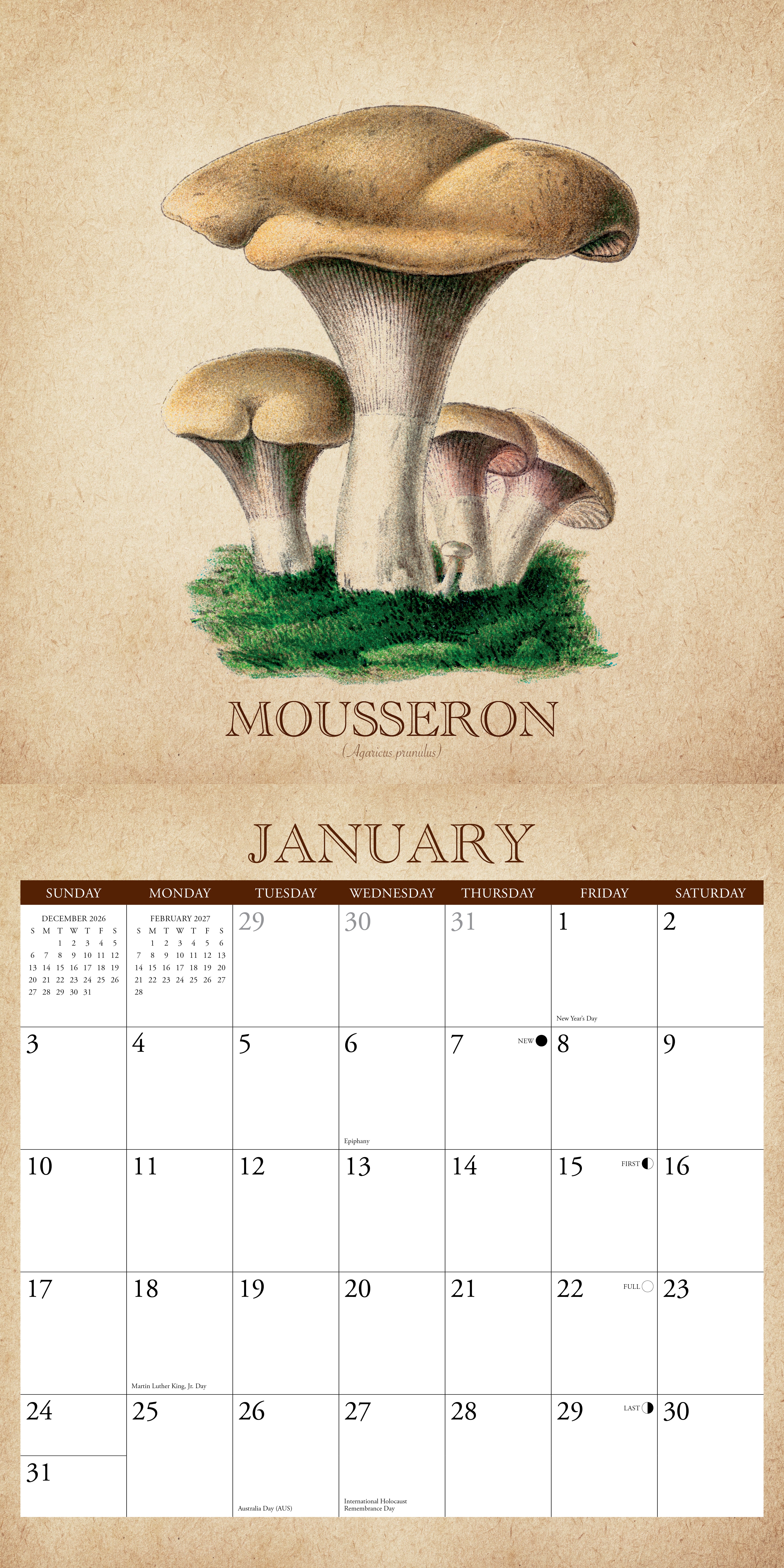 Willow Creek Press, Art of the Mushroom 2027 Wall Calendar