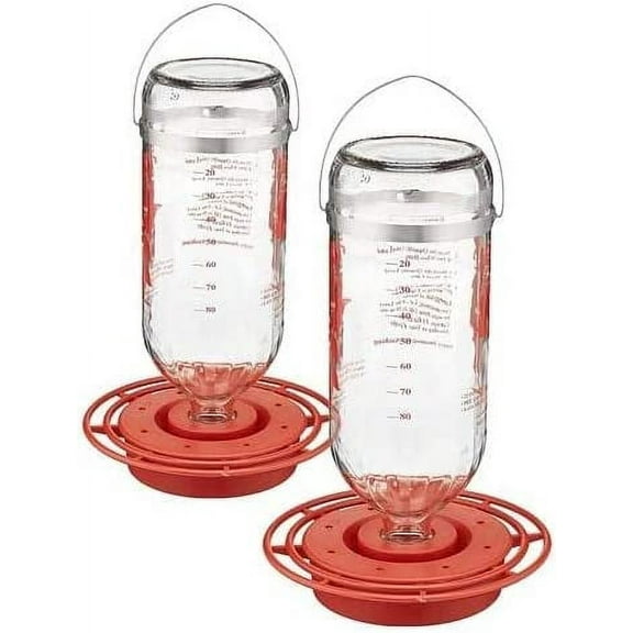 2 Pack of ANHXN Glass Hummingbird Feeders, 32 oz. Each