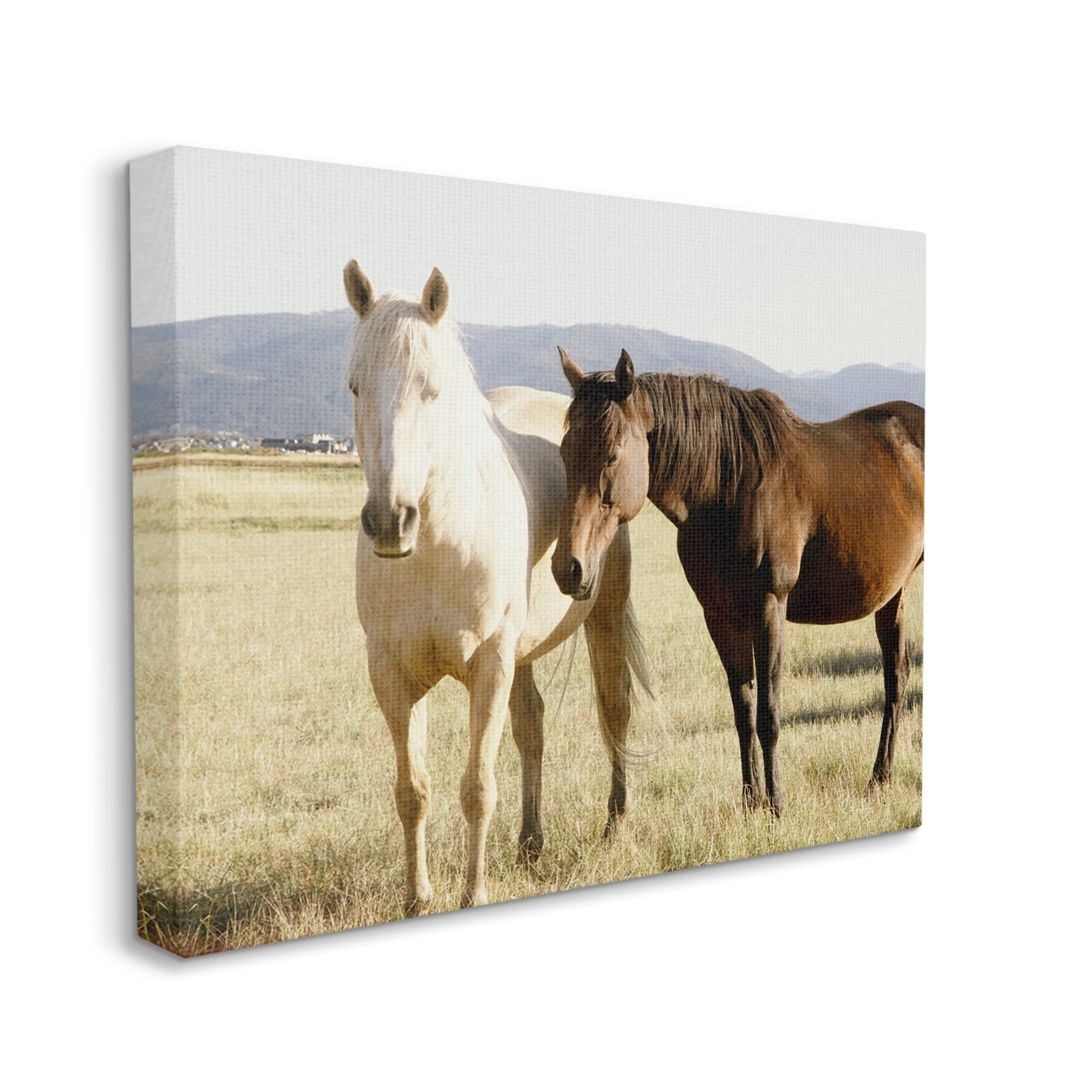 Stupell Rural Horses Animal Nature Photography Animals & Insects Photography Gallery Wrapped Canvas Print Wall Art