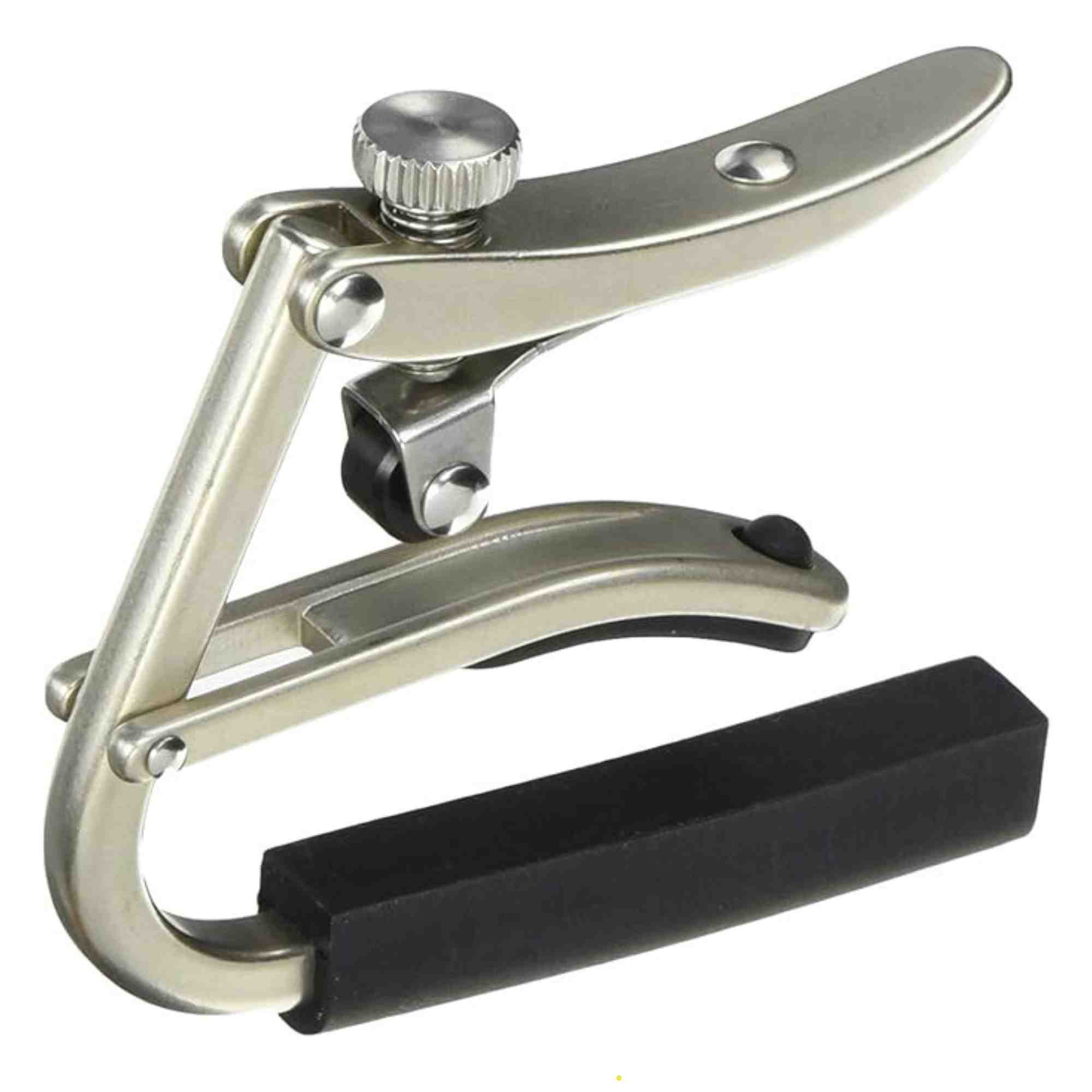 SHUBB BRSHD NICKEL CAPO ST