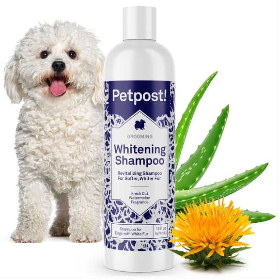Petpost Dog Whitening Shampoo - Brightens White & Light-Colored Coats - Watermelon Scent for Maltese, Shih Tzu, Bichon Frise & Poodles - 16 oz