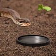 thumbnail image 3 of KAKOWELY 4Ud Comederos Plásticos Negros Para Y Reptiles Fácil Limpieza, 3 of 7