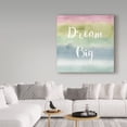 thumbnail image 3 of Trademark Fine Art 'Rainbow Seeds XIV Dream Cool' Canvas Art by Lisa Audit, 3 of 3
