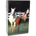 thumbnail image 5 of Assorted Horse Stallion Designs Crushprrof Plastic Cigarette Case, , 3116D14 (4), 5 of 6