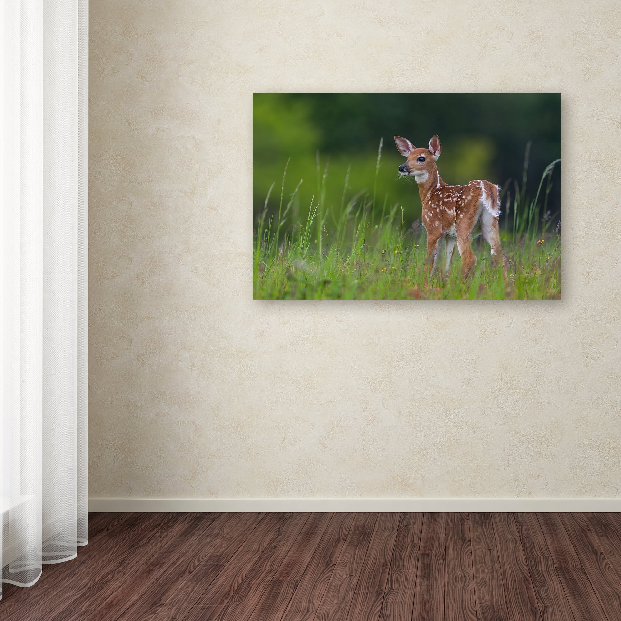 Trademark Fine Art 'Spring Fawn' Canvas Art by Nick Kalathas