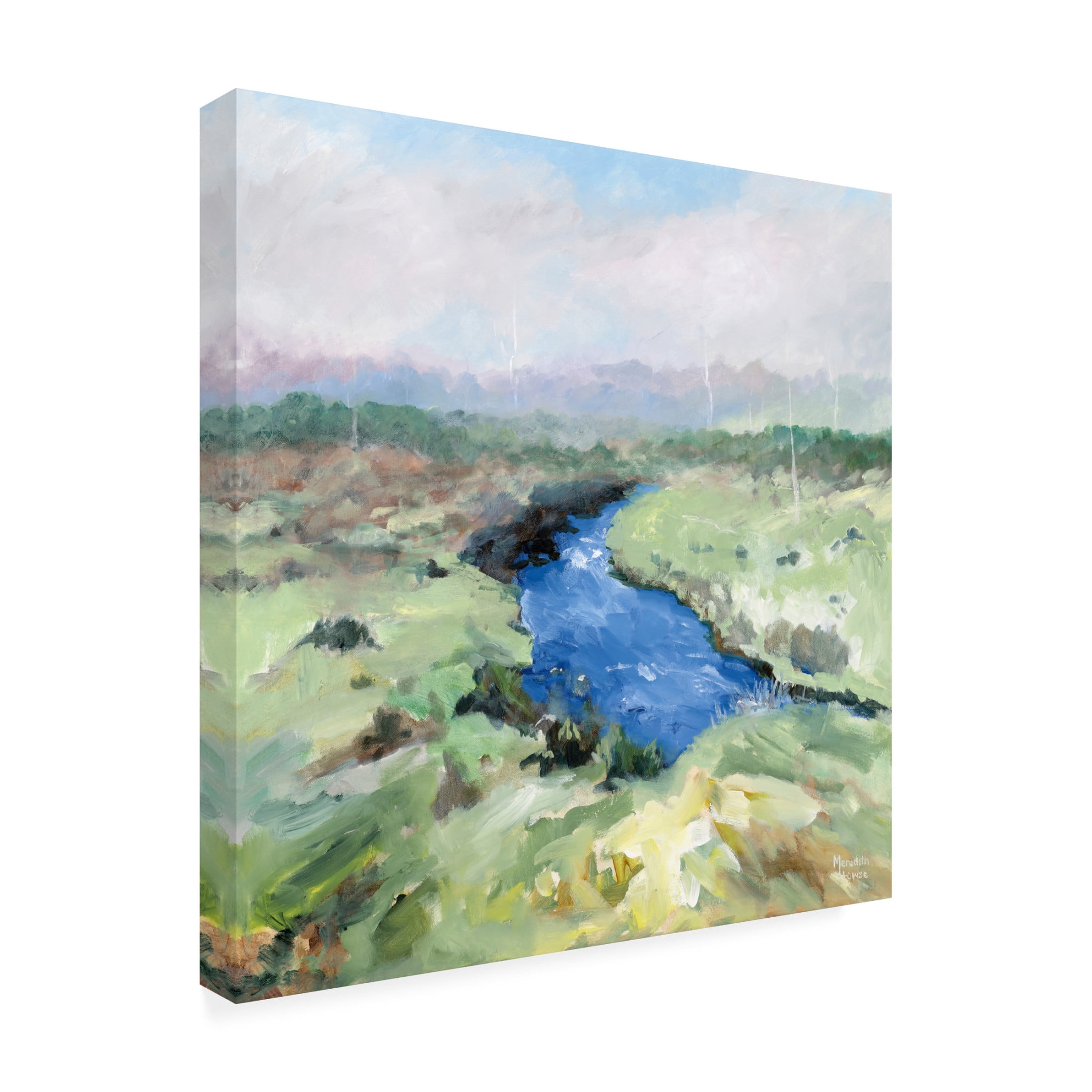 Canvas Wall Art - Meredith Howse 'Iris River' Wall Art for Living Room, Bedroom, or Office Décor by Trademark Fine Art - 14 x 14 Inches
