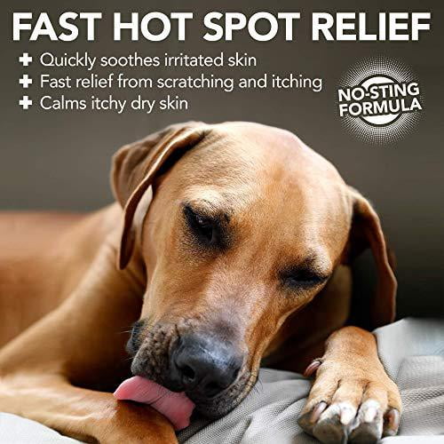 Dog hot spot shampoo sale