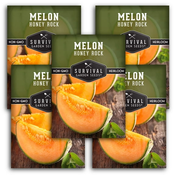 5 Packs Honey Rock Melon Seeds - Non-GMO Heirloom Full Sun Annual Vegetable