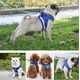 thumbnail image 5 of Dog Harness, Universal Chest Strap, Soft Vest for Puppies, Reflective, Adjustable (Small, Blue), 5 of 5
