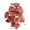 Style:Crimson Alumroot, variant on Terrarium Artificial Plant for Amphibian for Pet Habitat Decorations Tropical Leaves 10 Sty