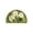 Green, variant on Daisy Bathroom Rug, Soft Fluffy Half Round Mat, Cute Flower Bath Mat Non Slip, Quick Dry Absorbent Washable Rugs for Shower Floor, Bedroom Yellow