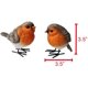 thumbnail image 4 of Polyresin Garden Robin Birds Adornos Patio trasero Decoración Estatuas para patio y patio Césped Pájaros lindos Interior Exterior Decoración del hogar Figuras Animal Stat Feliz Sencillez, 4 of 4