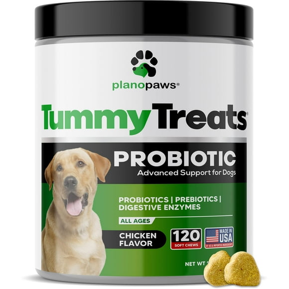 Probiotics for Dogs Digestive Health - Dog Probiotics and Digestive Enzymes - Allergy Relief for Dogs - Probiotic for Dogs Gut Health - Puppy Probiotic Tummy T