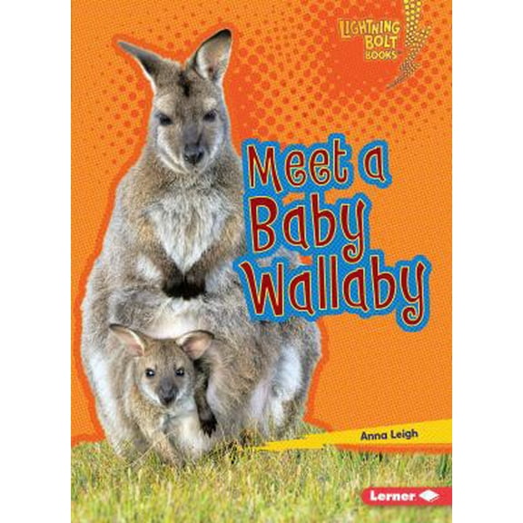 Pre-Owned Meet a Baby Wallaby (Paperback) 1512455911 9781512455915