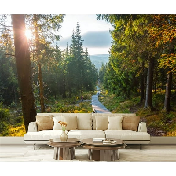 Peel and Stick Wallpaper Narrow tourist wooden path forest sunny day Giant Mountains Krkonose Modern Art Wall Mural Decor Self Adhesive and Removable 69in x 98in