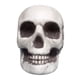 thumbnail image 2 of Xihbxyly Esqueleto de Halloween, Cabeza de Calavera de Plástico Realista, Decoración Espeluznante, Ideal para Fiestas y Bares, Uso En Interiores y Exteriores, Seguro y Ecológico, Tamaño 13 X 15 X 19, 2 of 7