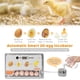 thumbnail image 4 of Incubadora digital de huevos, 20 huevos, incubadora de aves de corral con control automático de Romacci Criadores, 4 of 7