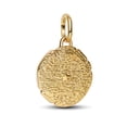 thumbnail image 2 of 925 Sterling Silver Golden Fierce Lion Dangle Charm for Bracelet Charms Bangle Pendant Jewelry, 2 of 4