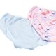 thumbnail image 3 of Calzones Hanes para Niñas y Niñas Pequeñas Paquete Variado de 10 4T-5T, 3 of 3
