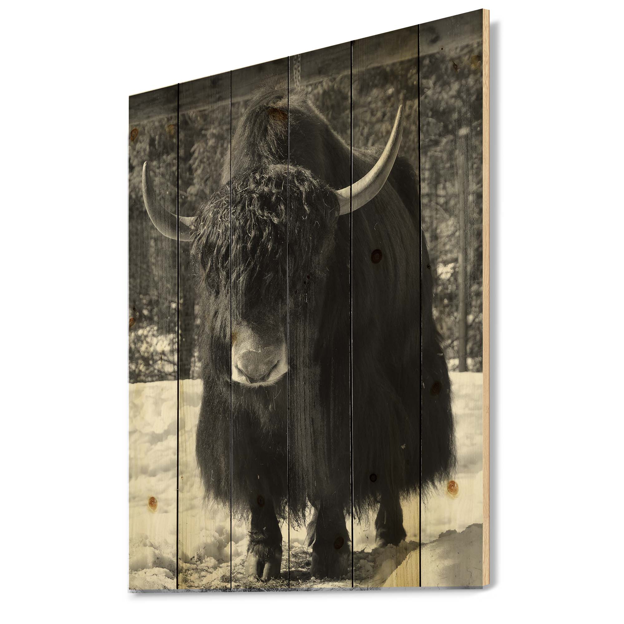 Designart 'Portrait Of Monochrome Wild Bull In Winter Forest I' Farmhouse Print on Natural Pine Wood