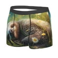 thumbnail image 2 of Daiia Daisy Sleeping Sloth Men's Underwear Boxer Briefs, Cotton Stretch Moisture-Wicking Underwear-Small, 2 of 9