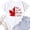 White, variant on Women Canada Pride T Shirt Canadian Flag Graphic Print Round Neck Short Sleeve Tee Women National Day Graphic T-Shirts Fashion Women Canada Pride Casual Graphic Top
