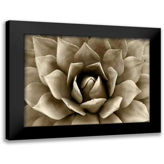 Jensen, Mia 14x12 Black Modern Framed Museum Art Print Titled - Succulent Taupe II