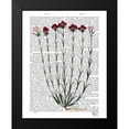 thumbnail image 2 of Fab Funky 20x24 Black Modern Framed Museum Art Print Titled - Italian Carnation 4, 2 of 5