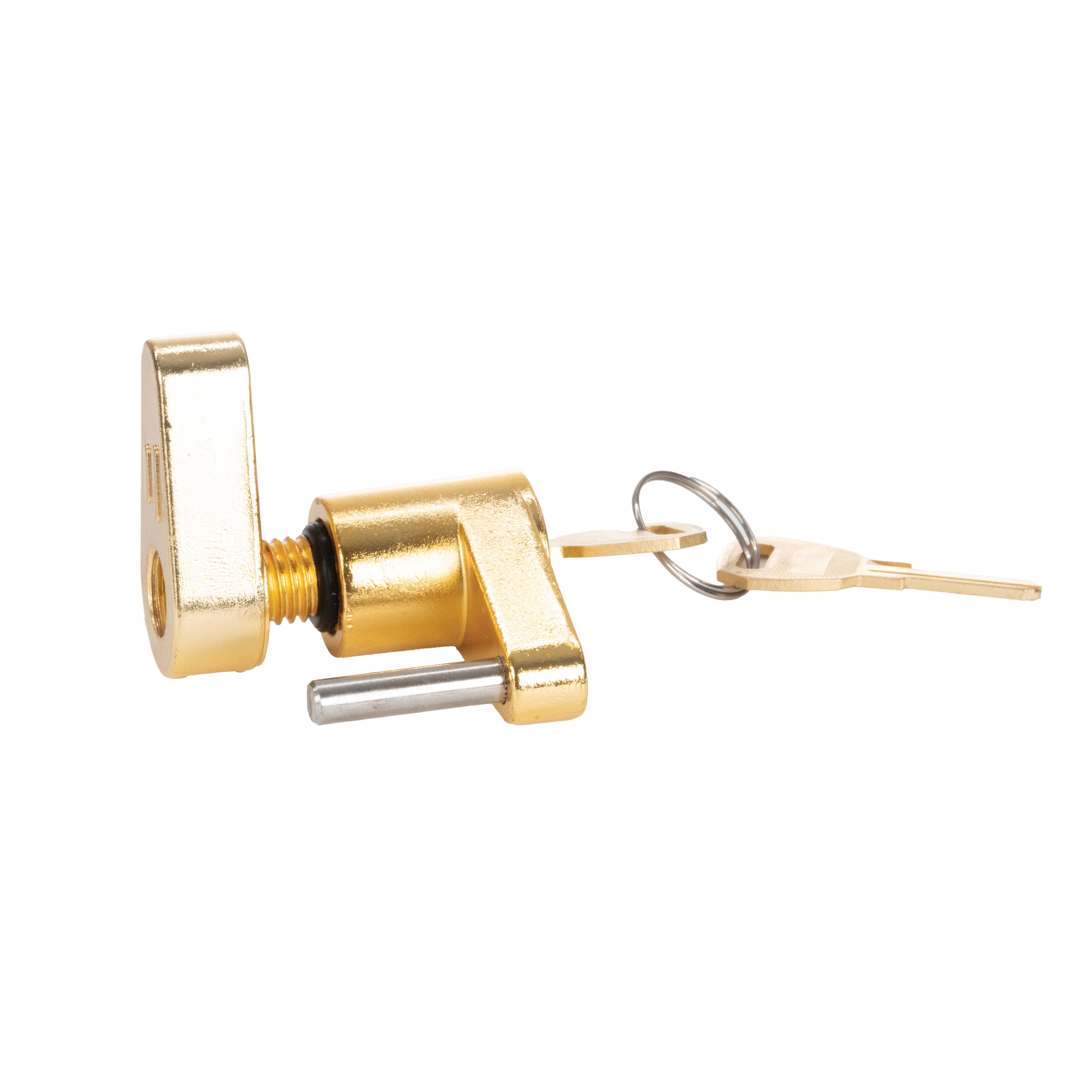 Ozark Trail Heavy-Duty Universal Trailer Coupler Lock with 2 Keys, Weather-Resistant