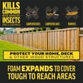 thumbnail image 3 of Amdro Quick Kill Carpenter Bee, Carpenter Ant & Termite Killer Foam; 18 oz., 3 of 14