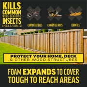 Amdro Quick Kill Carpenter Bee, Carpenter Ant & Termite Killer Foam; 18 oz.