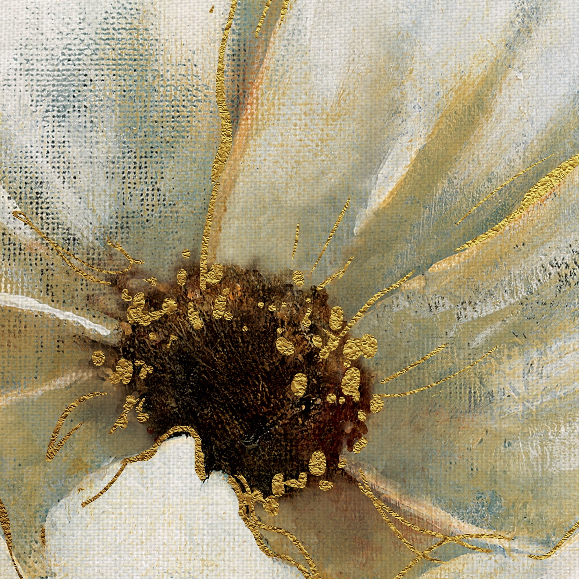Masterpiece Art Gallery Golden Splendor I Anemone By Carol Robinson Canvas Art Print 24" x 24"