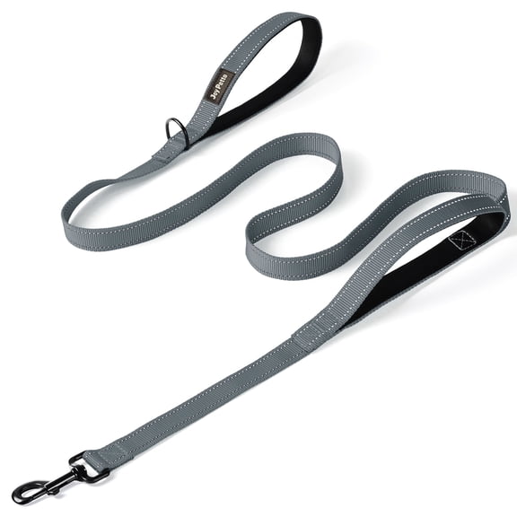 JoyPetto Heavy Duty Dog Leash with Double Handle for Large & Medium Dogs: 6 FT Reflective Nylon, Traffic Control Padded,Grey
