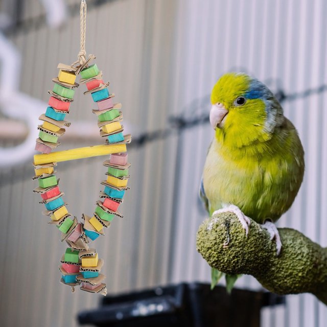 Colgante de madera colorido bloque de cartón masticar destruir juguete para pájaro mascota loro
