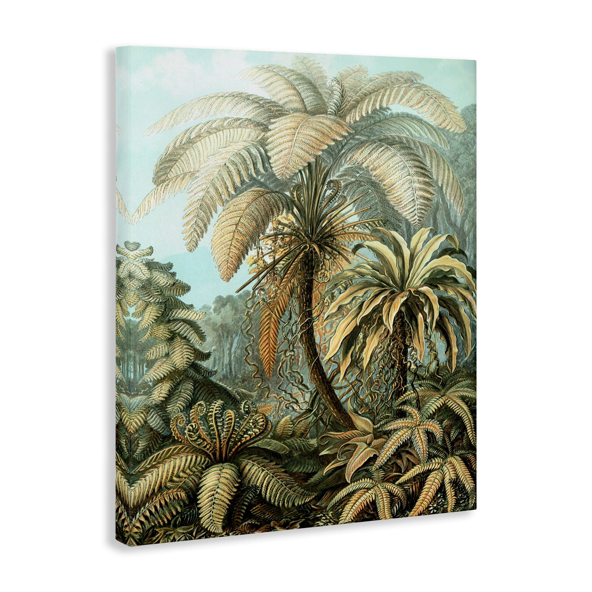 Stupell Industries Detailed Palm Tree Leaves Landscape & Nature Painting Wrapped Canvas Art Print Wall Art, 16 x 20