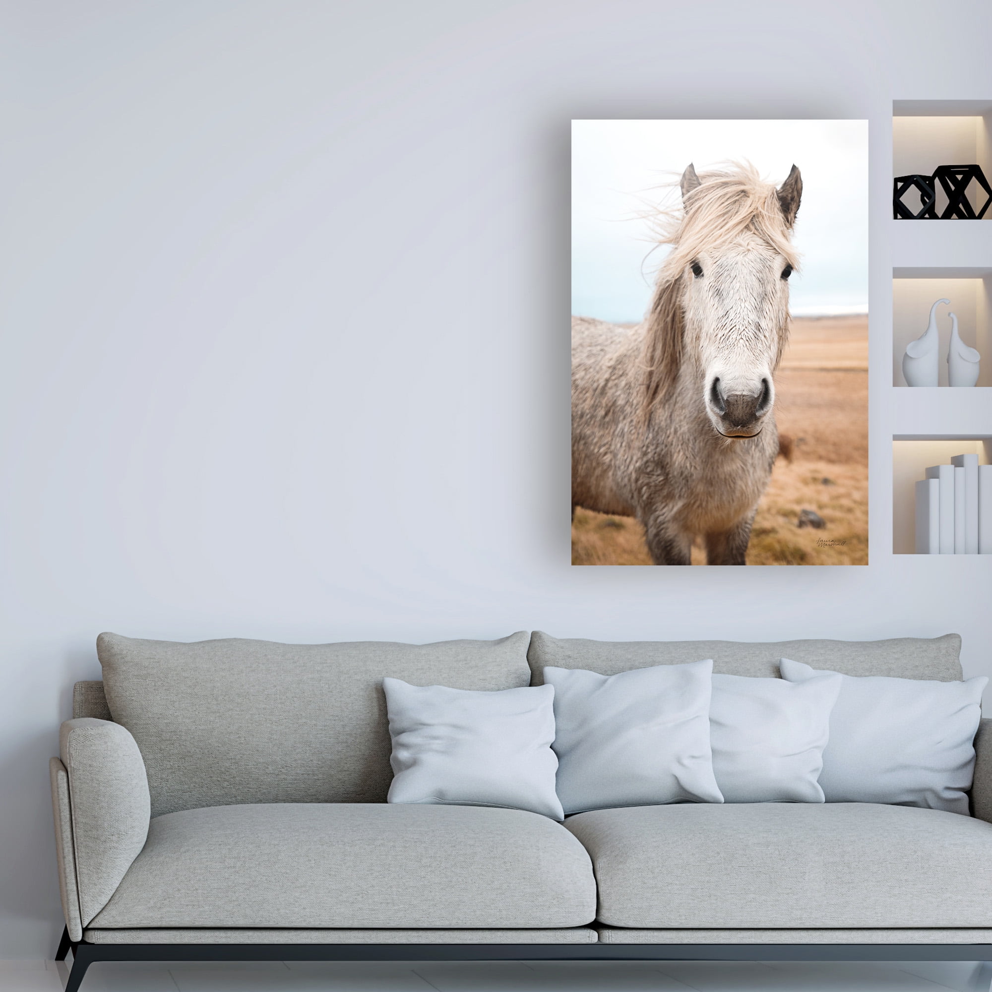 Trademark Fine Art 'Heida I' Canvas Art by Laura Marshall