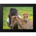 thumbnail image 2 of Burchett, P.H. 24x19 Black Modern Framed Museum Art Print Titled - Icelandic Horses IV, 2 of 5