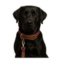 thumbnail image 3 of Duo Pack Collar y Correa Leathern Talla Grande, 3 of 4