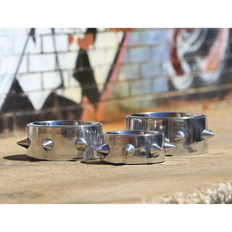Unleashed life high 2025 rise dog bowl