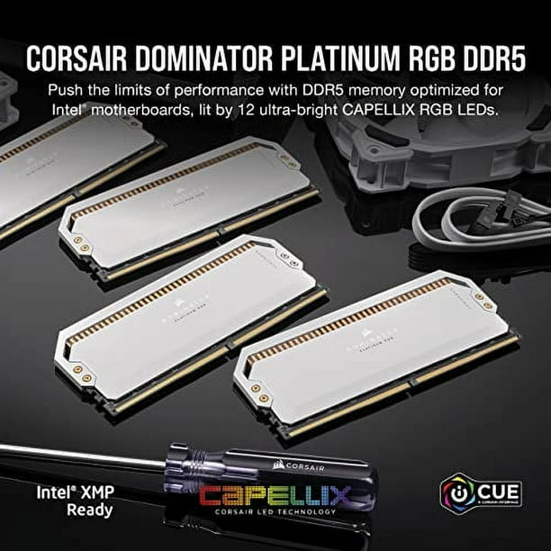 CORSAIR Dominator Platinum RGB - DDR5 - kit - 64 GB: 2 x 32 GB