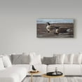thumbnail image 3 of Trademark Fine Art 'A Break In The Ice Canada Geese' Canvas Art by Ron Parker, 3 of 3