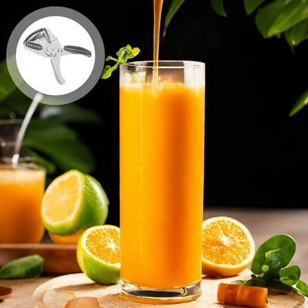 WEUVEB Heavy Duty Fruit Juicer Silver Stainless Steel 1Pack