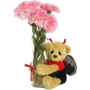 Aurora 19242 12 in. Woe Bear Vase Hugger Assorted Stuffed Animal Plush Toy