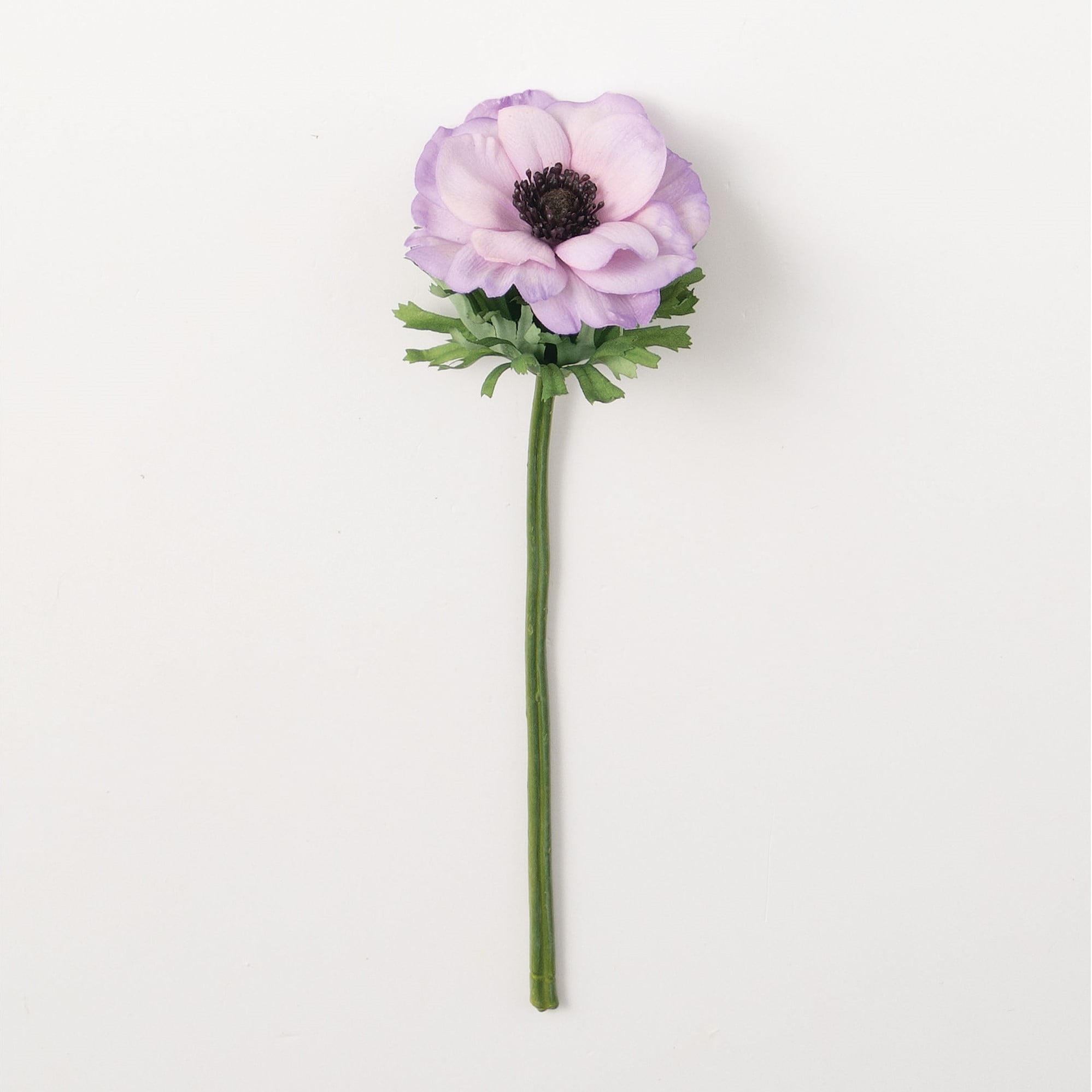 Sullivans Artificial Anemone Stem 14 H Purple Flowers Walmart Com Walmart Com Sullivans Artificial Anemone Stem 14 H Purple Flowers Walmart Com Walmart Com