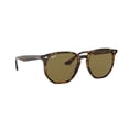 thumbnail image 7 of Ray-Ban Unisex Size 54 Geometric Havana Sunglasses, Dark Brown Lens, 7 of 7