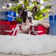 thumbnail image 2 of Christmas Tree Skirt Christmas Tree Foot Cover White Christmas Tree Rug Plush Carpet Decoration Foot Cover at the End Decorative Tree with Snowflakes, 2 of 5