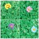 thumbnail image 5 of KAKOWELY Panel de pared de plantas artificiales, seto, decoración de pared, panel verde para fondo, decoración de pared exterior, 5 of 5
