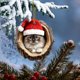 thumbnail image 3 of Colgante Decorativo Adorno navideño plano conmemorativo para mascotas, de acrílico, ideal para decorar el hogar (1 unidad). Rkxzt, 3 of 8
