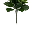thumbnail image 4 of FBK107-FL 13,5 Po. Flame Kalanchoe Bush X5- Lot de 6, 4 of 4