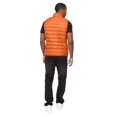 thumbnail image 2 of Crosshatch Mens Gattering MVE Quilted Gilet, 2 of 5